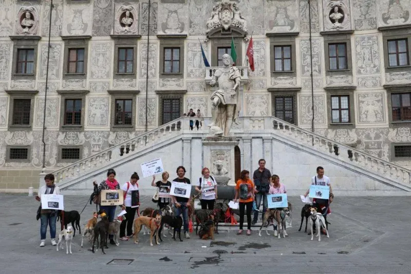 13322135 1040695239347664 1909660873016491440 n