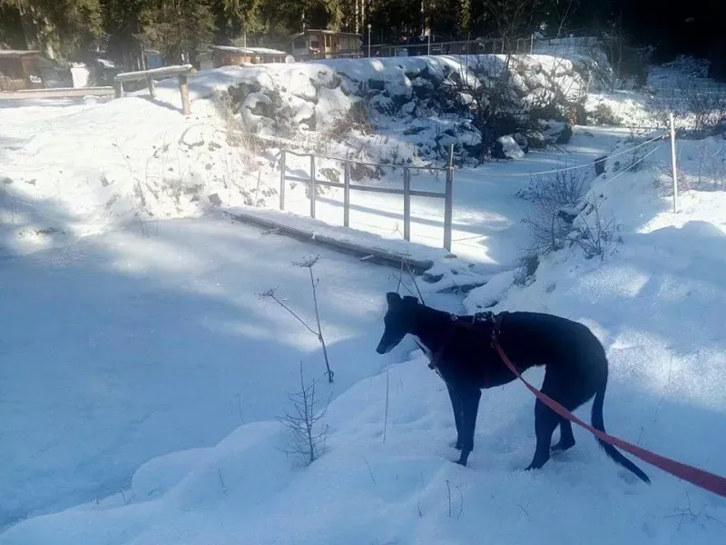 13322171 1037149813035540 8204516981834950996 n