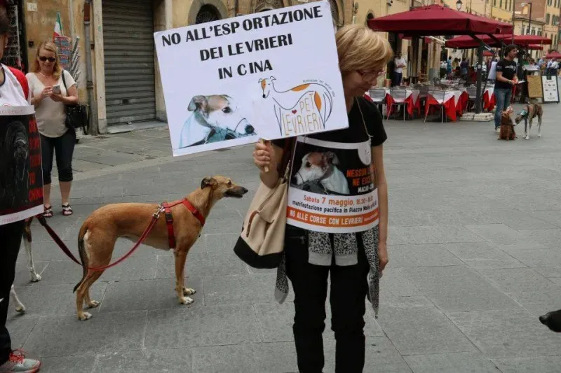 13322177 1040694362681085 1553268034514097703 n