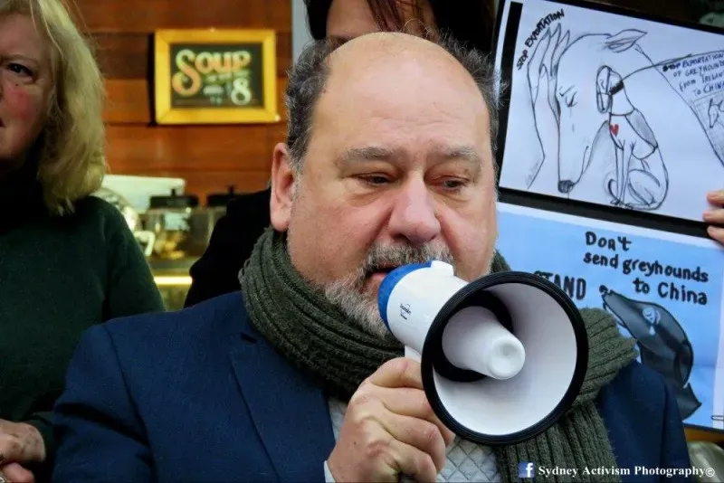 13323172 1781624145457351 6671159015132492520 o