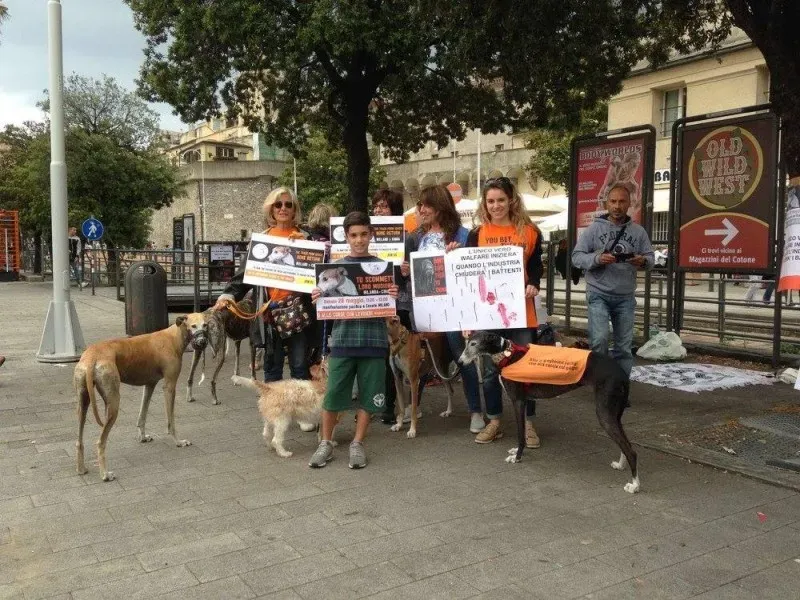 13323320 1038855796198275 3712739683438848348 o 1