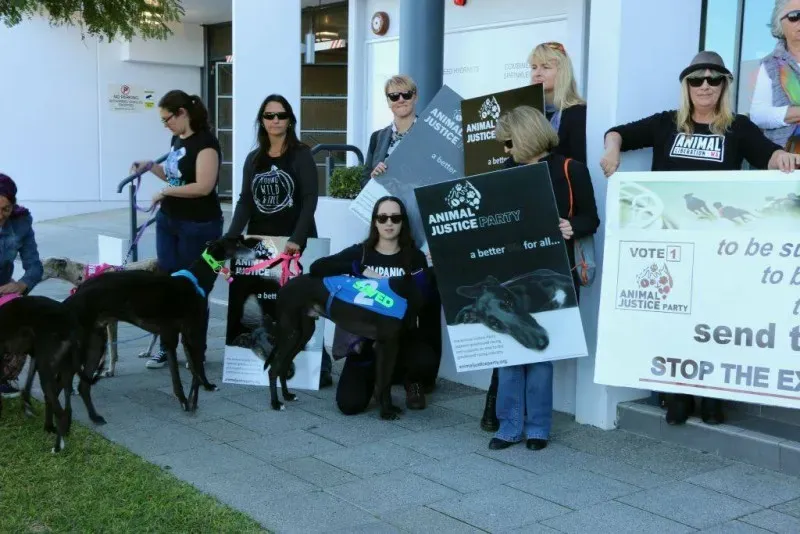 13323385 1123913137695043 7613245608588772106 o