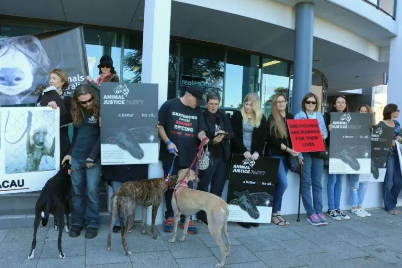 13323403 1123913264361697 6441514087803857835 o