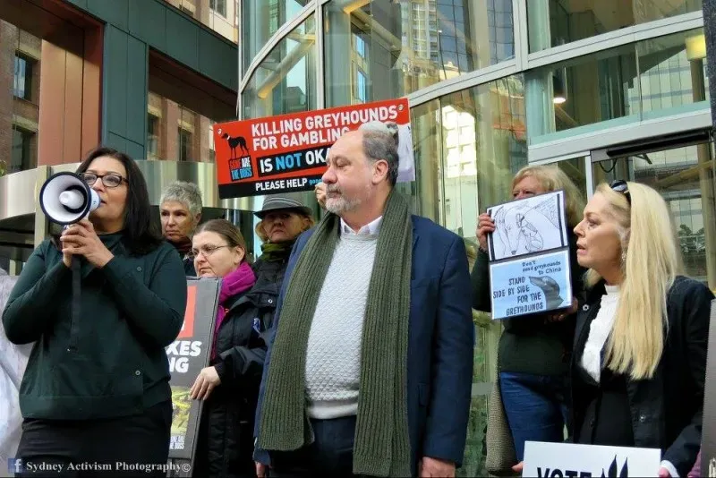 13323404 1781624325457333 3540238732599260676 o