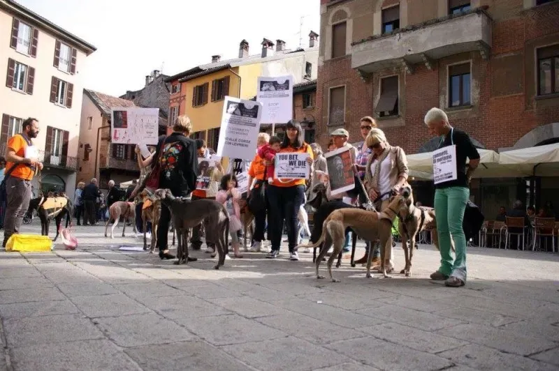 13323550 1038711566212698 9215328965309684806 o