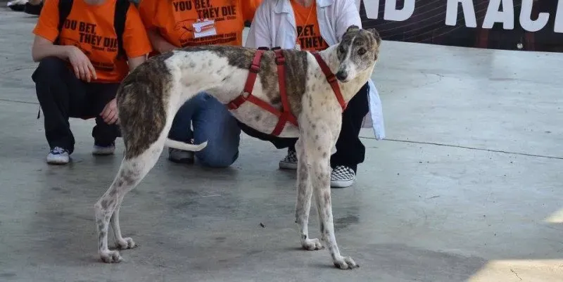 13323575 1036327576451097 2524259362777526667 o