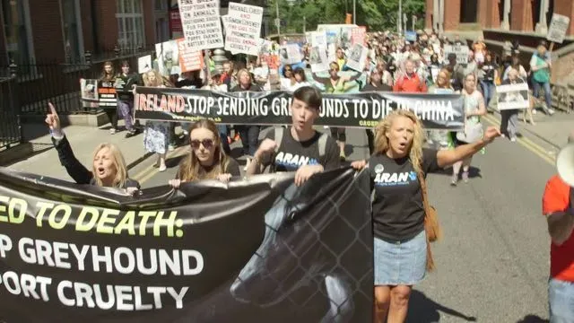 13323585 471678843042418 8610184826289299535 o 1