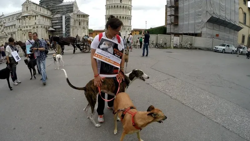 13323601 1040691972681324 4368272369414889687 o