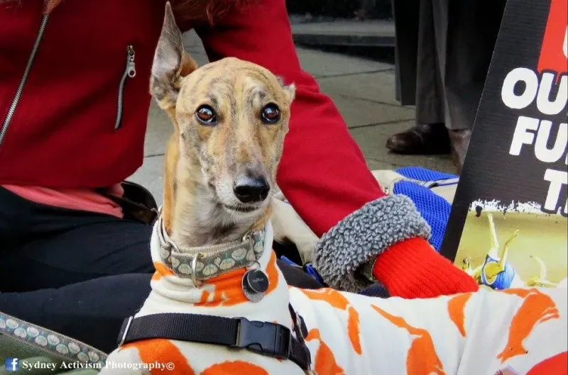 13323603 1781624258790673 8507176238284197616 o