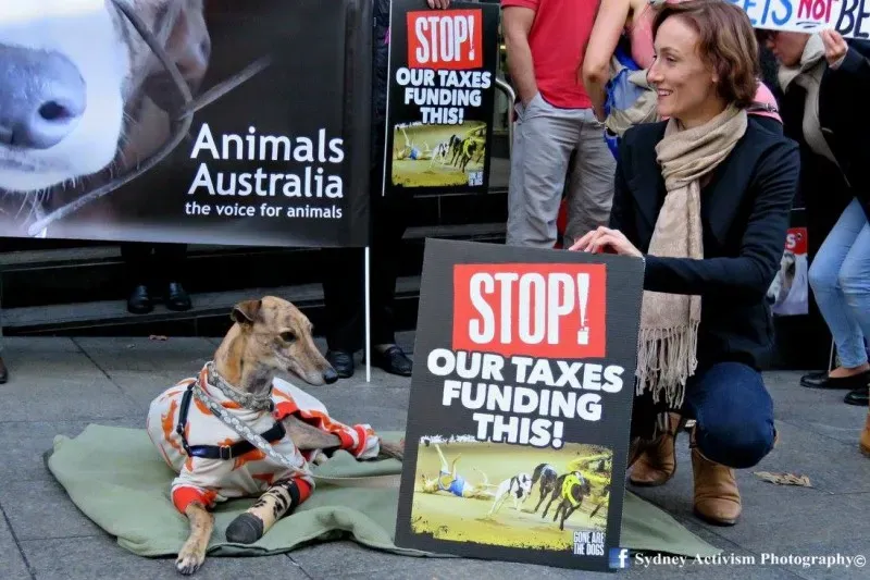 13323612 1781623598790739 3753492810456686957 o