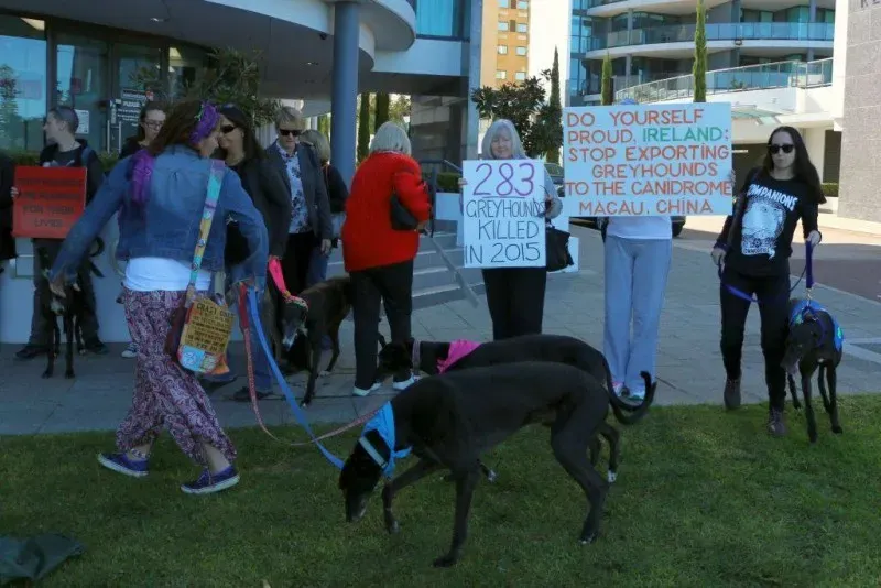 13323624 1123912944361729 6489829772989608380 o