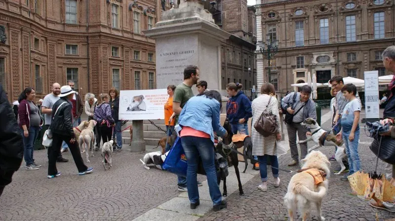 13323800 1038476696236185 4099052274295179971 o 1