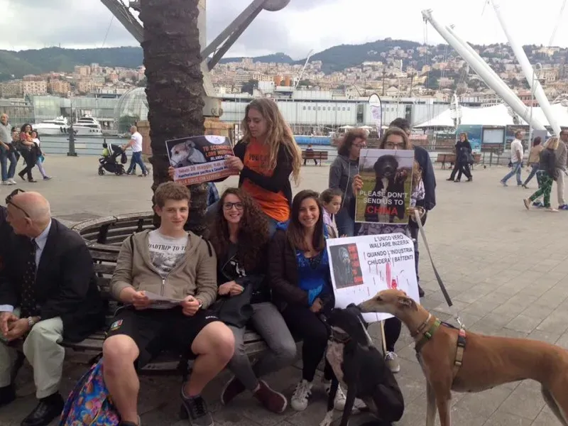 13325439 1038860212864500 785020848211203058 n 1