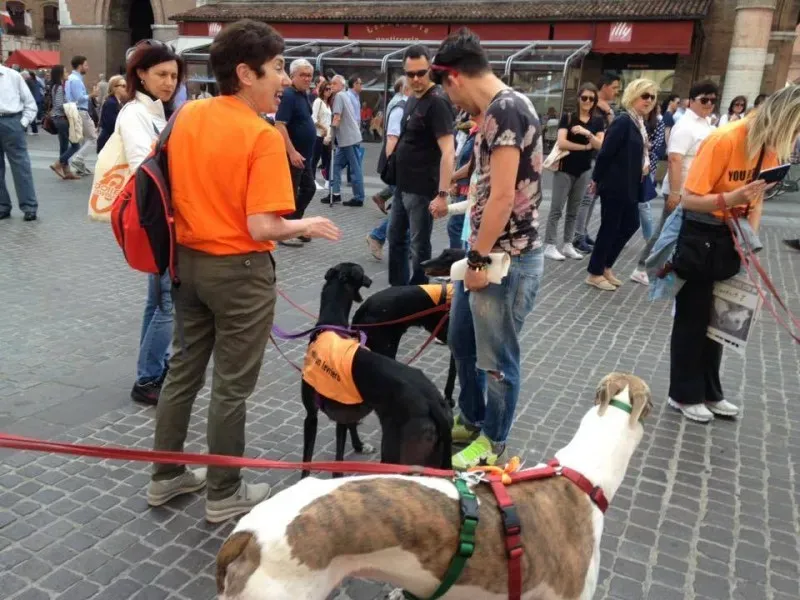 13325478 1038851026198752 5571460442251456845 n 1