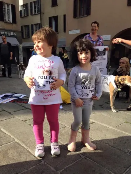 13325494 1038714049545783 2575778499802385993 n