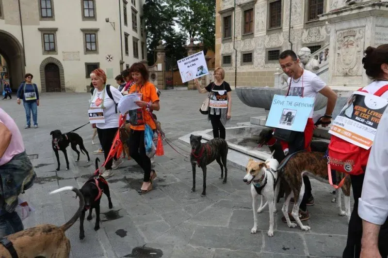 13325504 1040696632680858 6923687342891532244 n