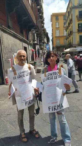 13325510 1038223669594821 6361049386678468968 n 1