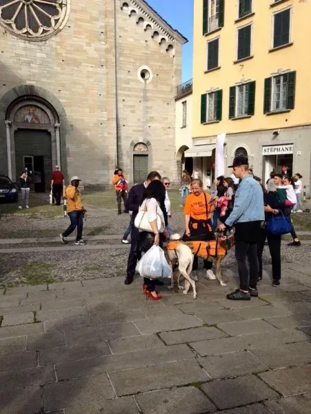 13325530 1038713846212470 9060716065019560301 n