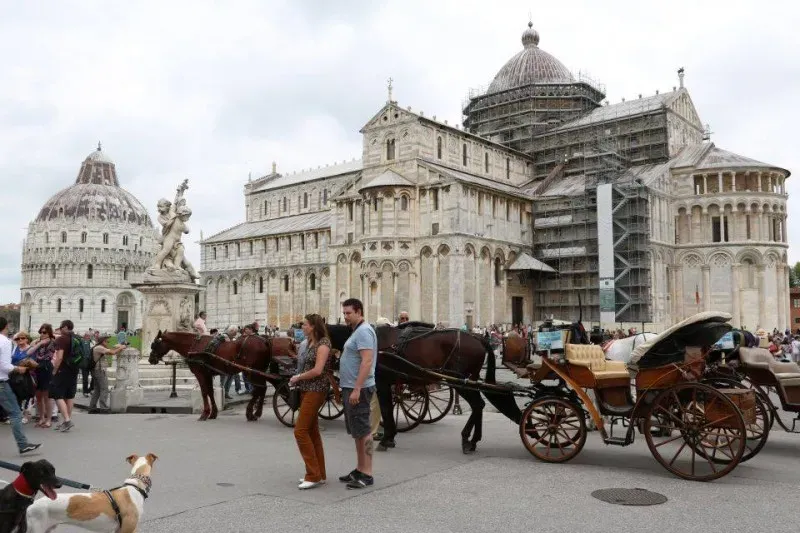 13325530 1040693549347833 4192364631435725719 n