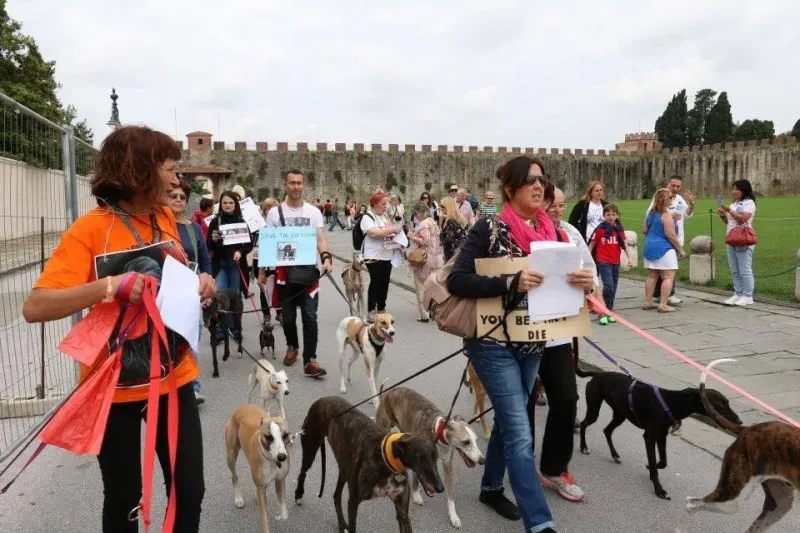 13325600 1040684959348692 1627937399991107787 n