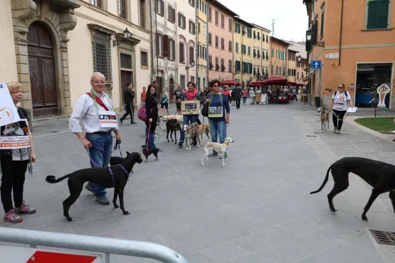 13325611 1040694676014387 435929341192448894 n