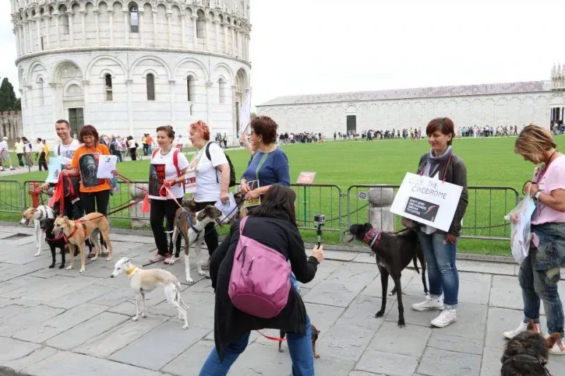 13325615 1040688036015051 1454162606703427620 n