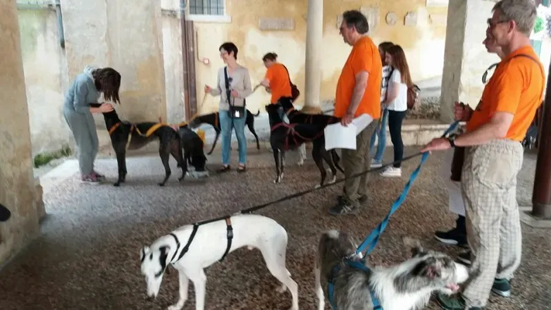 13325626 1040353422715179 8764396274699958127 n