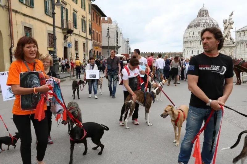 13325645 1040693546014500 1651522339465416182 n