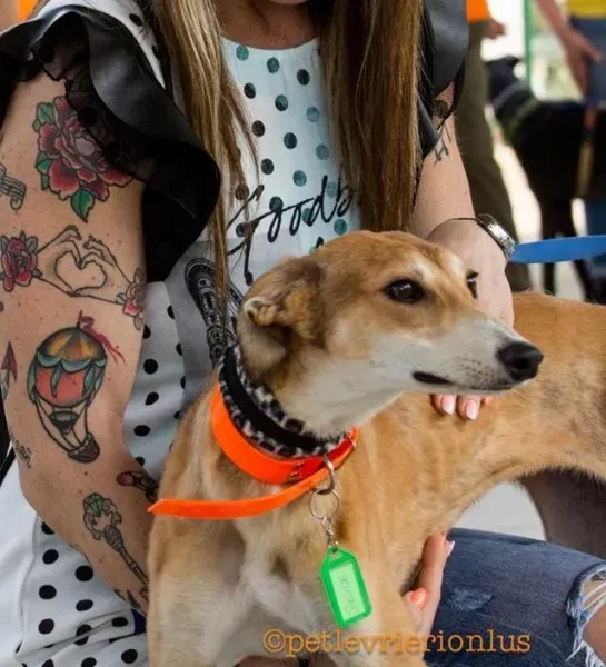 13325665 1036433323107189 2404615710979140338 n