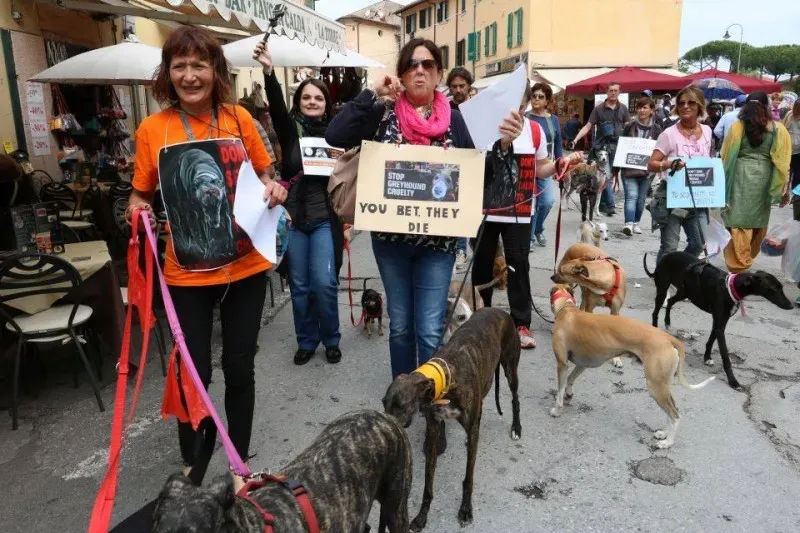 13325691 1040684346015420 7330078397182932743 n