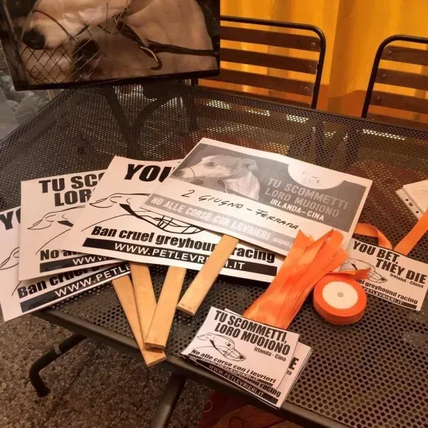 13325723 1038853252865196 4104226047799949470 n 1