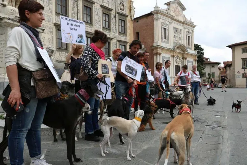 13327346 1040696499347538 8136901542862918122 n