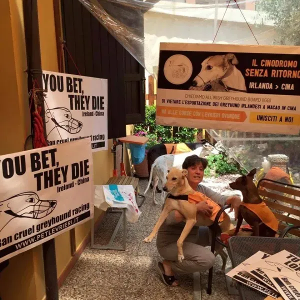 13327385 1038853306198524 5866997932643037219 n 1