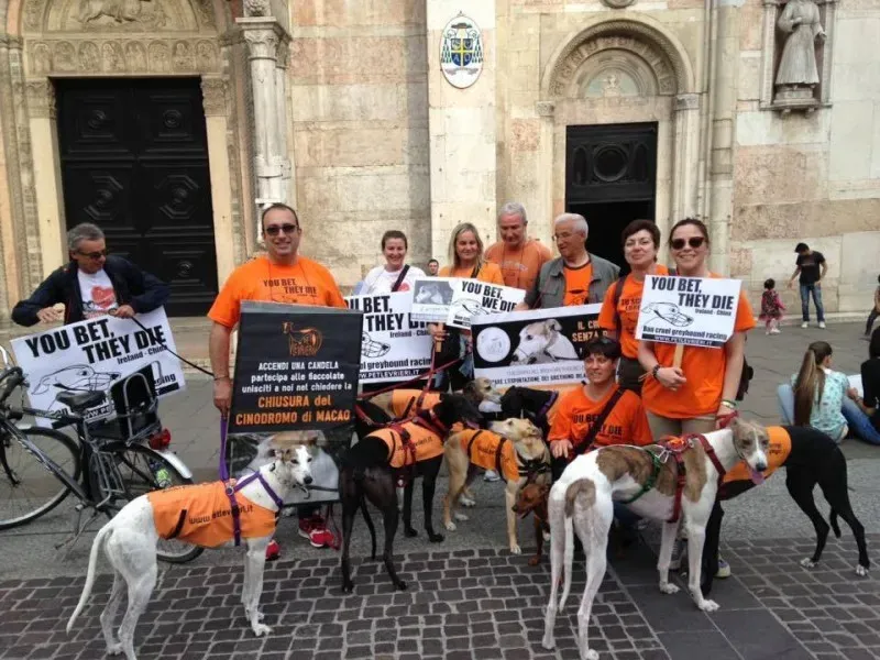 13327426 1038850869532101 8302721678794198689 n 1