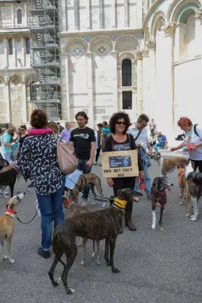 13327477 1040699409347247 5346587187385026214 n