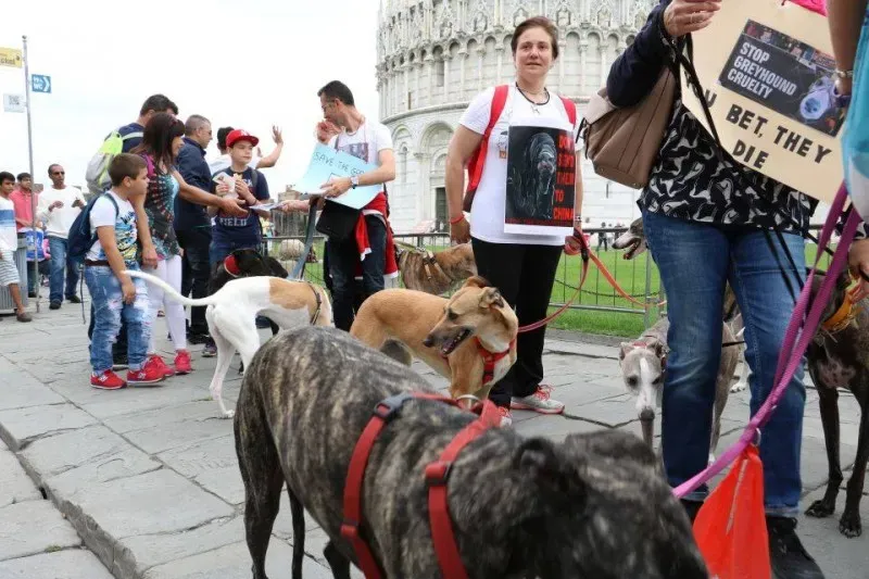 13327526 1040689099348278 8640366185506869147 n