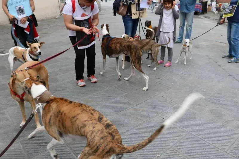 13327529 1040698309347357 2178153224451102420 n