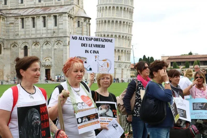 13327550 1040687752681746 2942976268353701938 n