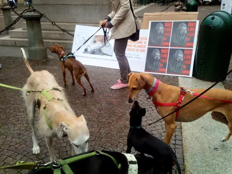 13327583 1038708919546296 2347584826101078958 n 1