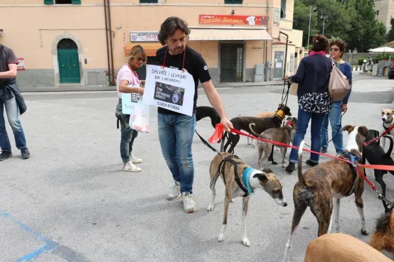 13327583 1040683402682181 7927594637293636942 n