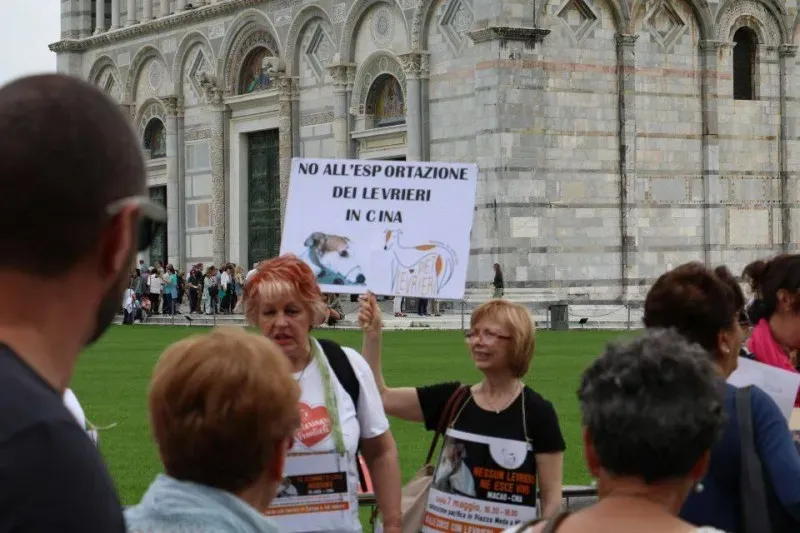 13327601 1040686946015160 6839205567529177027 n