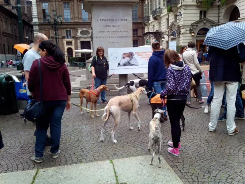 13327634 1038708982879623 2304656791054183834 n 1