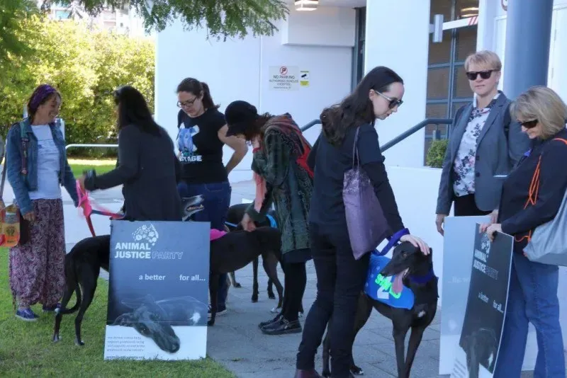 13329376 1123913381028352 5595741643634040996 o