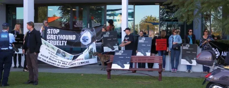 13329496 1123912857695071 180772733545666747 o