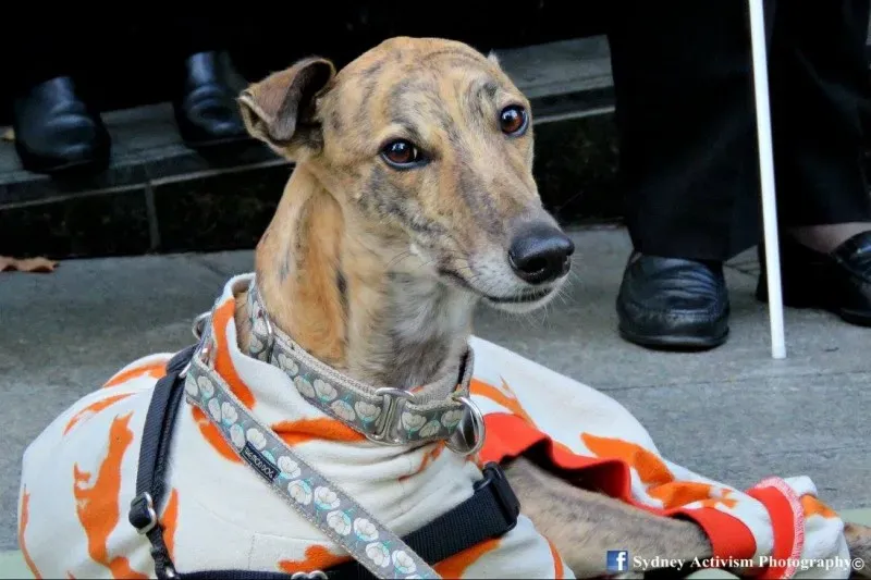 13329579 1781623555457410 392770784936967186 o