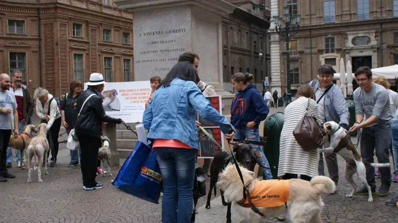 13329614 1038476569569531 5534204866141805768 o 1