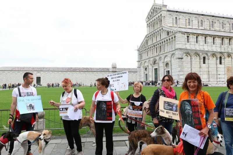 13330945 1040688779348310 2428104954263326127 n