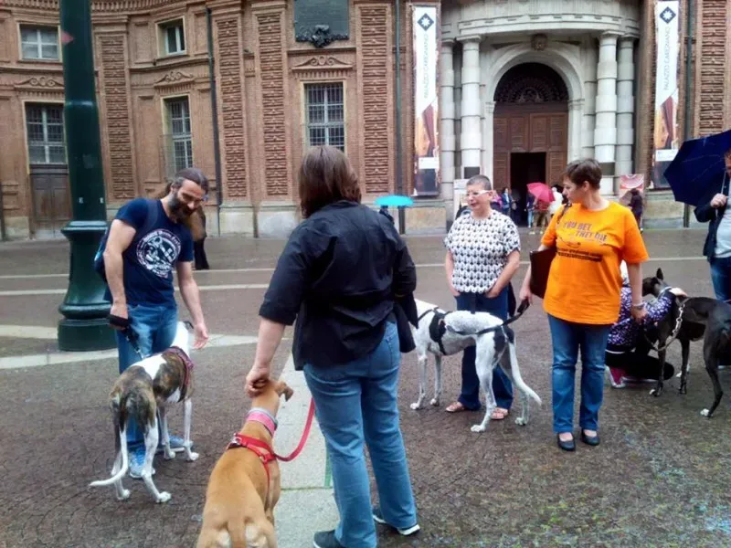 13330986 1038708886212966 8776335940396981844 n 1