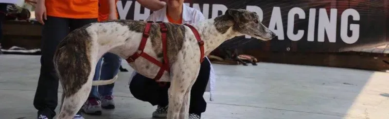 13331086 1035454129871775 7040962650407076590 n