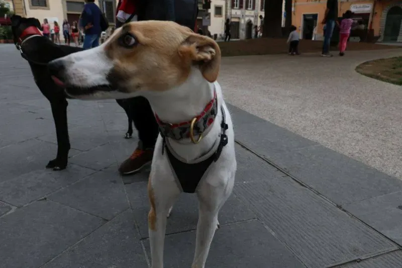 13331107 1040694779347710 2848566353103821780 n